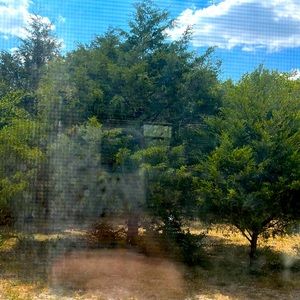 Meet your Posher, Maggie